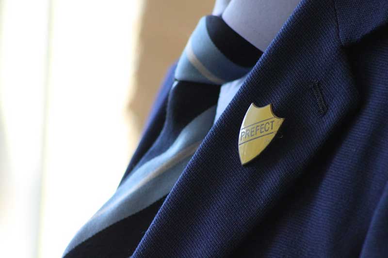 Perfect-Recognition-Pins-1